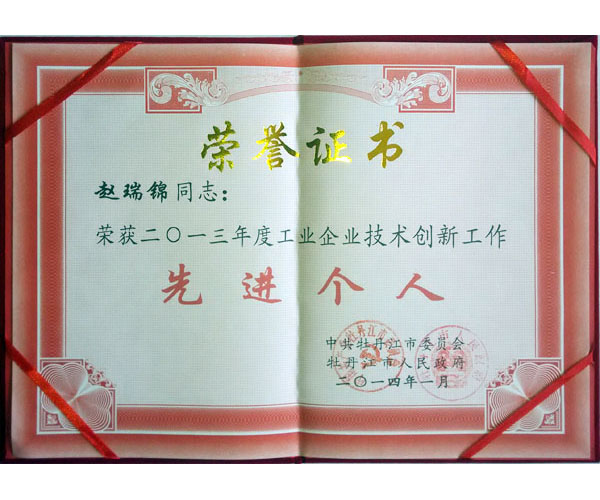 2013年先進(jìn)個(gè)人榮譽(yù)證書